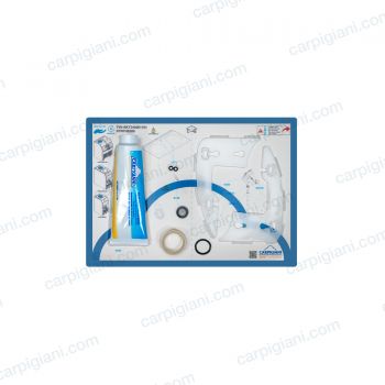 CARPICARE KIT SYNTHESIS_home